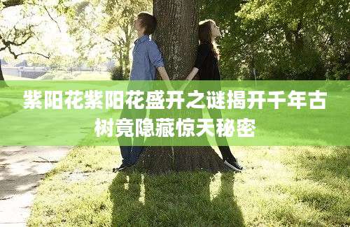 紫阳花紫阳花盛开之谜揭开千年古树竟隐藏惊天秘密