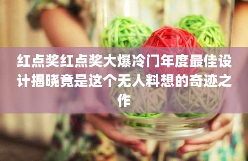 红点奖红点奖大爆冷门年度最佳设计揭晓竟是这个无人料想的奇迹之作