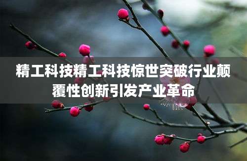 精工科技精工科技惊世突破行业颠覆性创新引发产业革命