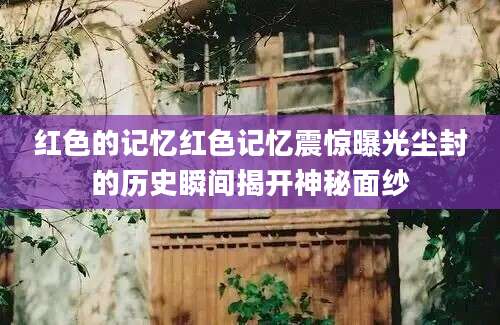 红色的记忆红色记忆震惊曝光尘封的历史瞬间揭开神秘面纱