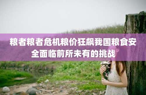 粮者粮者危机粮价狂飙我国粮食安全面临前所未有的挑战