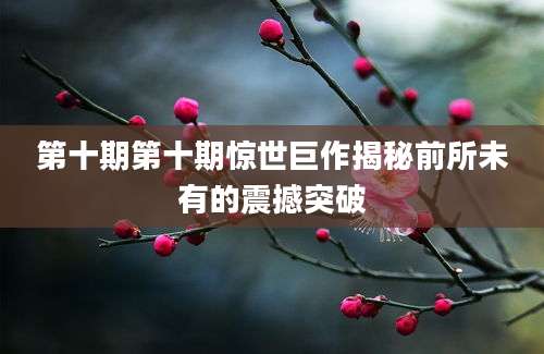 第十期第十期惊世巨作揭秘前所未有的震撼突破