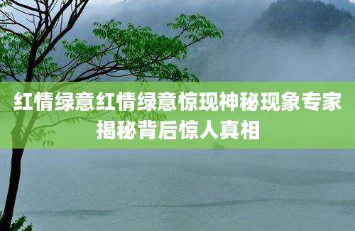 红情绿意红情绿意惊现神秘现象专家揭秘背后惊人真相