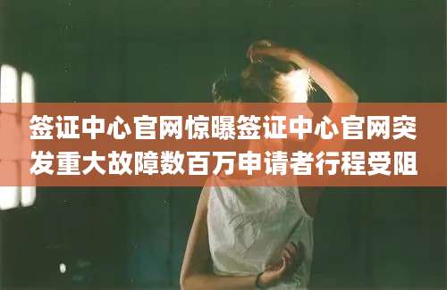 签证中心官网惊曝签证中心官网突发重大故障数百万申请者行程受阻