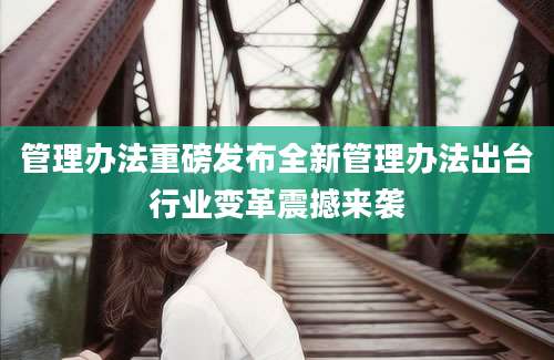 管理办法重磅发布全新管理办法出台行业变革震撼来袭