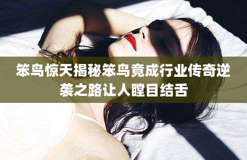 笨鸟惊天揭秘笨鸟竟成行业传奇逆袭之路让人瞠目结舌