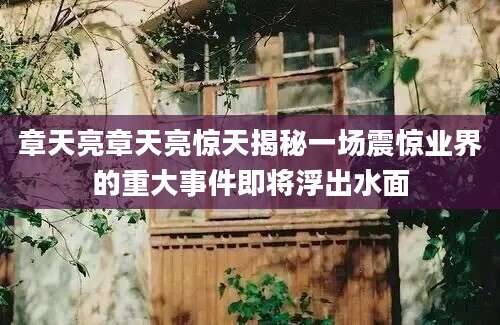 章天亮章天亮惊天揭秘一场震惊业界的重大事件即将浮出水面