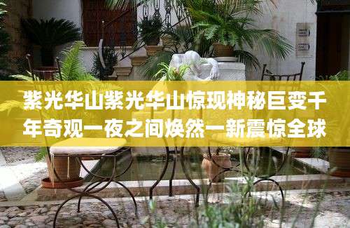 紫光华山紫光华山惊现神秘巨变千年奇观一夜之间焕然一新震惊全球