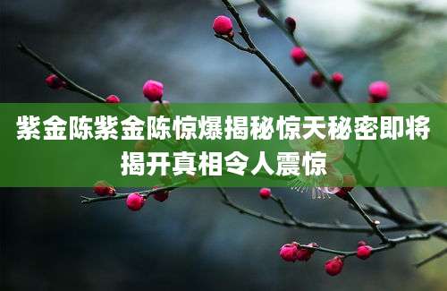 紫金陈紫金陈惊爆揭秘惊天秘密即将揭开真相令人震惊