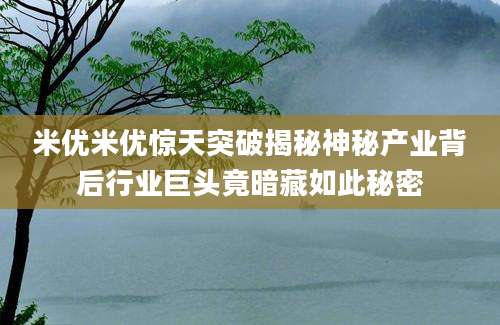 米优米优惊天突破揭秘神秘产业背后行业巨头竟暗藏如此秘密