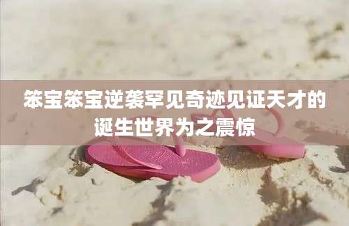 笨宝笨宝逆袭罕见奇迹见证天才的诞生世界为之震惊