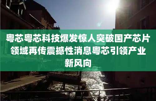 粤芯粤芯科技爆发惊人突破国产芯片领域再传震撼性消息粤芯引领产业新风向