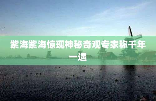 紫海紫海惊现神秘奇观专家称千年一遇