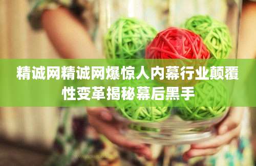 精诚网精诚网爆惊人内幕行业颠覆性变革揭秘幕后黑手