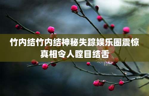竹内结竹内结神秘失踪娱乐圈震惊真相令人瞠目结舌