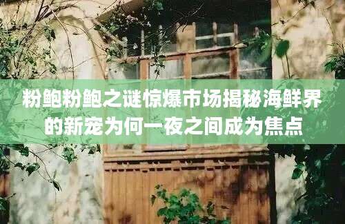 粉鲍粉鲍之谜惊爆市场揭秘海鲜界的新宠为何一夜之间成为焦点