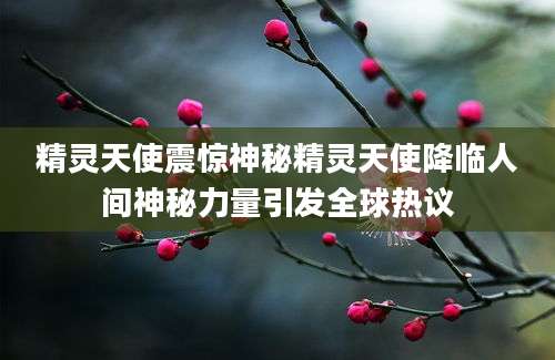 精灵天使震惊神秘精灵天使降临人间神秘力量引发全球热议