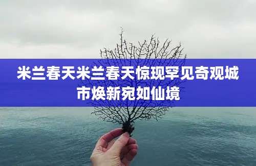 米兰春天米兰春天惊现罕见奇观城市焕新宛如仙境