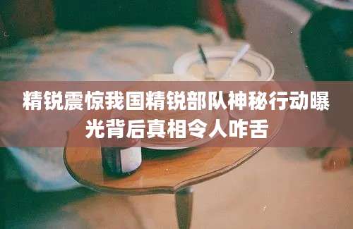 精锐震惊我国精锐部队神秘行动曝光背后真相令人咋舌