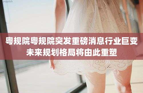 粤规院粤规院突发重磅消息行业巨变未来规划格局将由此重塑