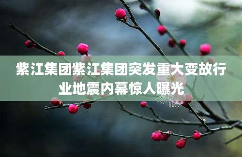 紫江集团紫江集团突发重大变故行业地震内幕惊人曝光