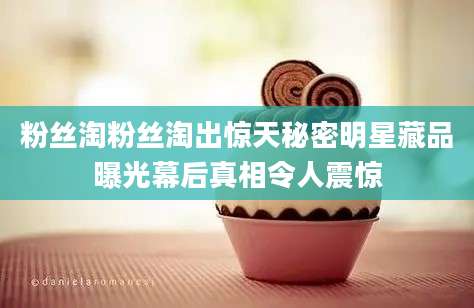 粉丝淘粉丝淘出惊天秘密明星藏品曝光幕后真相令人震惊