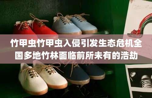 竹甲虫竹甲虫入侵引发生态危机全国多地竹林面临前所未有的浩劫