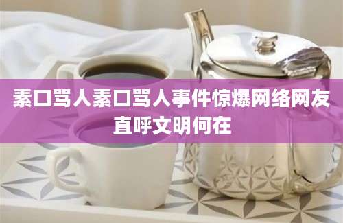 素口骂人素口骂人事件惊爆网络网友直呼文明何在