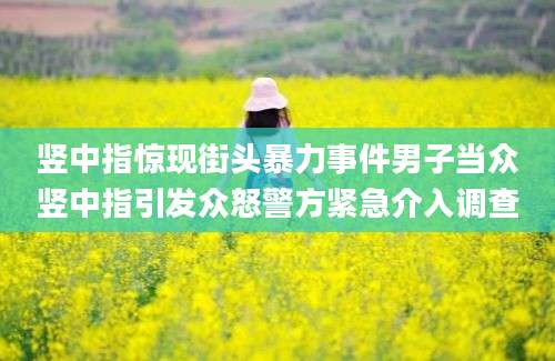 竖中指惊现街头暴力事件男子当众竖中指引发众怒警方紧急介入调查