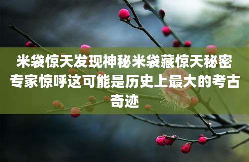 米袋惊天发现神秘米袋藏惊天秘密专家惊呼这可能是历史上最大的考古奇迹