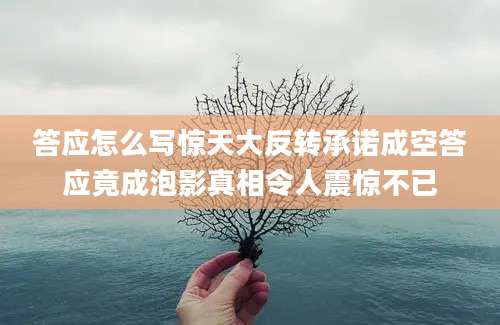 答应怎么写惊天大反转承诺成空答应竟成泡影真相令人震惊不已