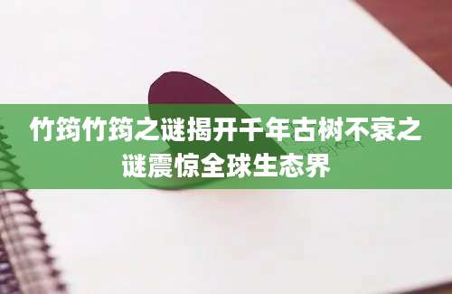 竹筠竹筠之谜揭开千年古树不衰之谜震惊全球生态界