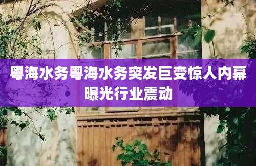 粤海水务粤海水务突发巨变惊人内幕曝光行业震动