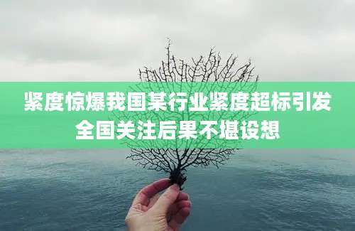 紧度惊爆我国某行业紧度超标引发全国关注后果不堪设想