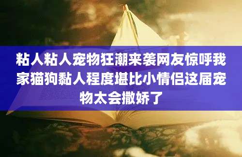 粘人粘人宠物狂潮来袭网友惊呼我家猫狗黏人程度堪比小情侣这届宠物太会撒娇了