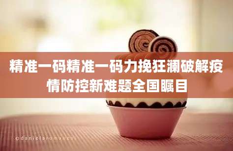 精准一码精准一码力挽狂澜破解疫情防控新难题全国瞩目