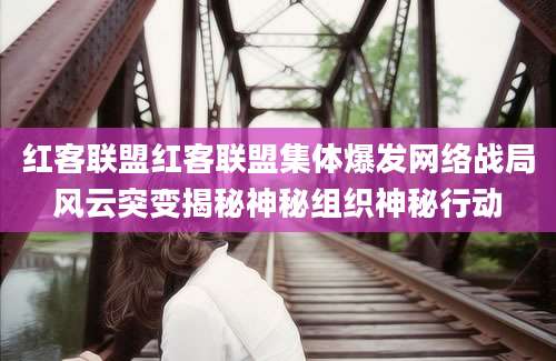 红客联盟红客联盟集体爆发网络战局风云突变揭秘神秘组织神秘行动