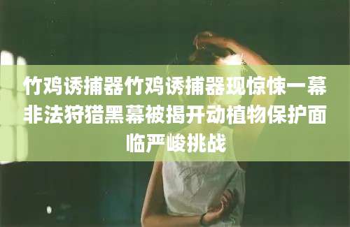 竹鸡诱捕器竹鸡诱捕器现惊悚一幕非法狩猎黑幕被揭开动植物保护面临严峻挑战