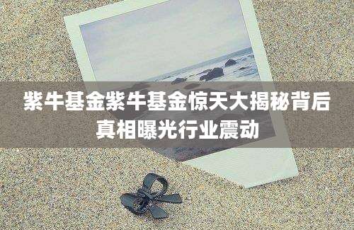 紫牛基金紫牛基金惊天大揭秘背后真相曝光行业震动