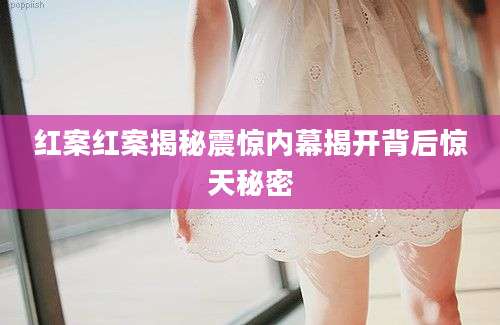 红案红案揭秘震惊内幕揭开背后惊天秘密