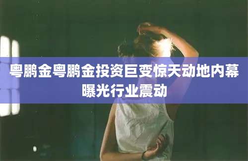 粤鹏金粤鹏金投资巨变惊天动地内幕曝光行业震动