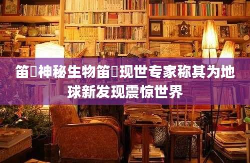 笛鸻神秘生物笛鸻现世专家称其为地球新发现震惊世界