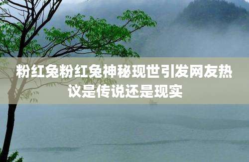 粉红兔粉红兔神秘现世引发网友热议是传说还是现实