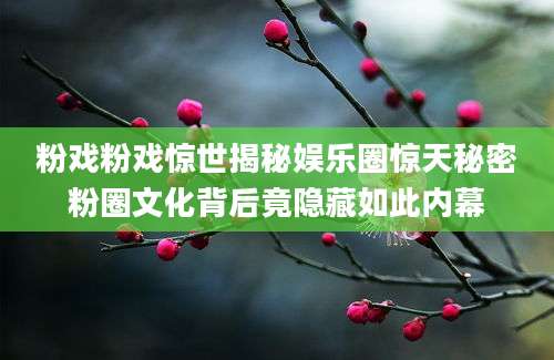 粉戏粉戏惊世揭秘娱乐圈惊天秘密粉圈文化背后竟隐藏如此内幕