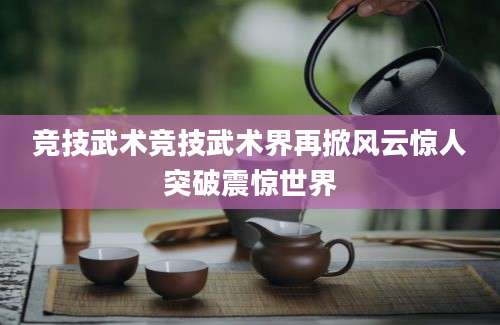竞技武术竞技武术界再掀风云惊人突破震惊世界