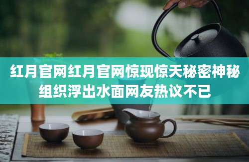 红月官网红月官网惊现惊天秘密神秘组织浮出水面网友热议不已