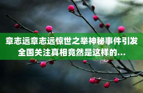 章志远章志远惊世之举神秘事件引发全国关注真相竟然是这样的...