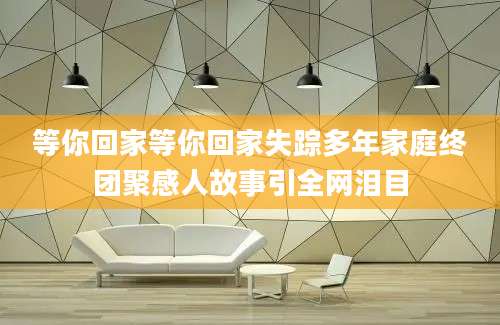 等你回家等你回家失踪多年家庭终团聚感人故事引全网泪目