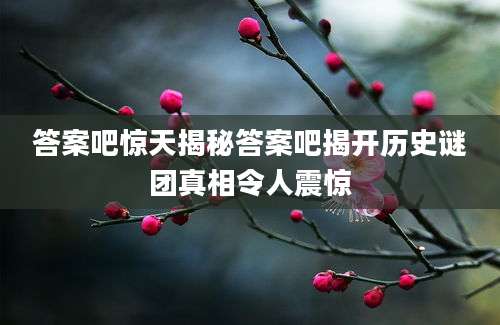 答案吧惊天揭秘答案吧揭开历史谜团真相令人震惊