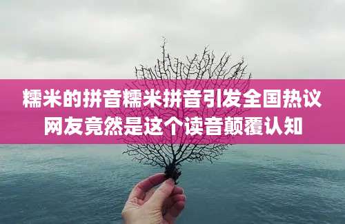 糯米的拼音糯米拼音引发全国热议网友竟然是这个读音颠覆认知